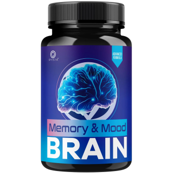MemoryandMoodBrain