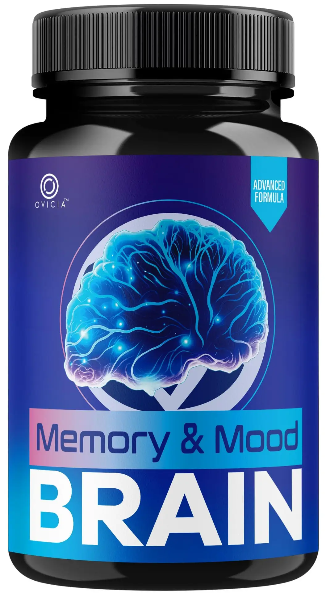 MemoryandMoodBrain