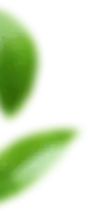 footer_shape01.png