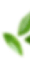 footer_shape02.png