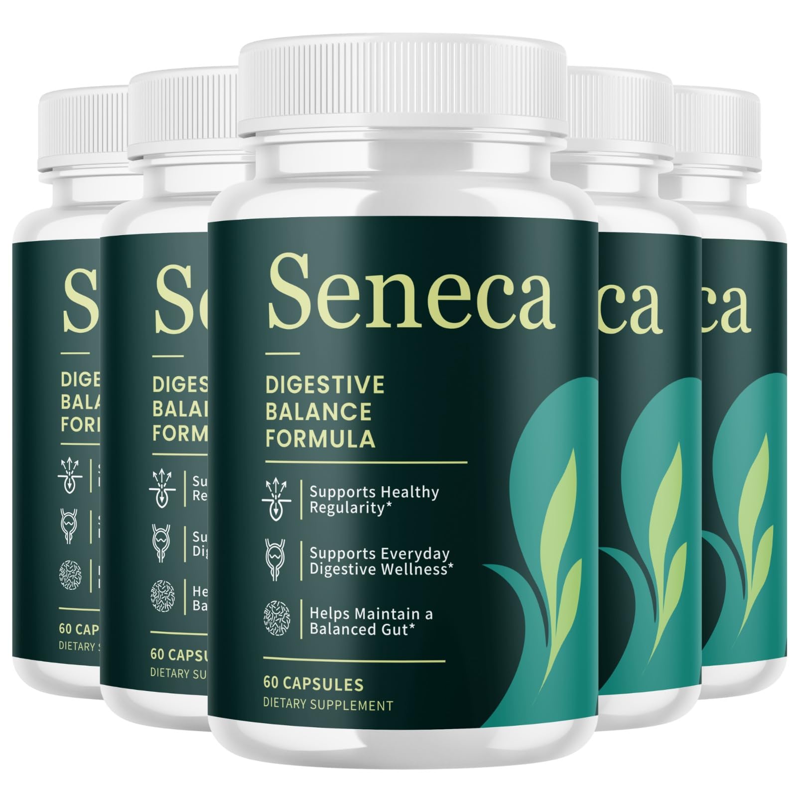 Seneca Digestive Balance Formula – 5 Bottles, 60 Capsules Each